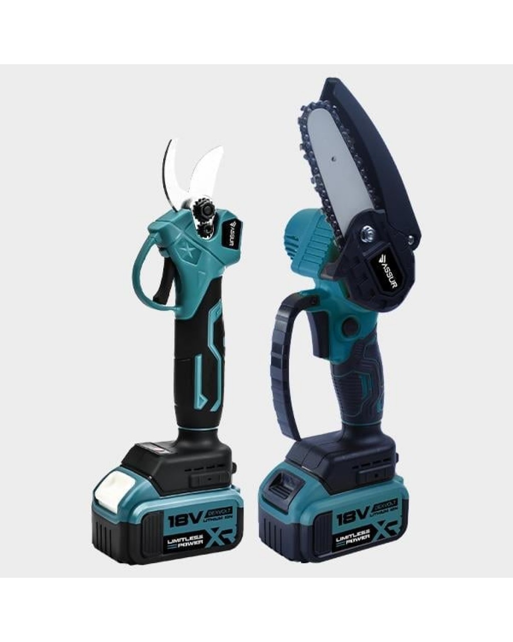 ASR1013