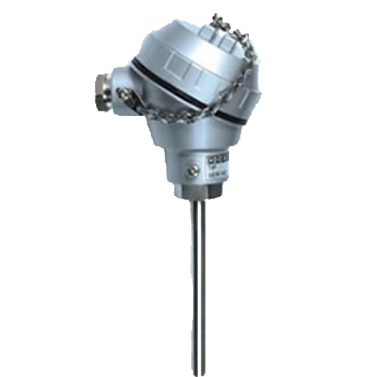 PRF-TJS-050-6-R1/2 Kafalı Termokupl